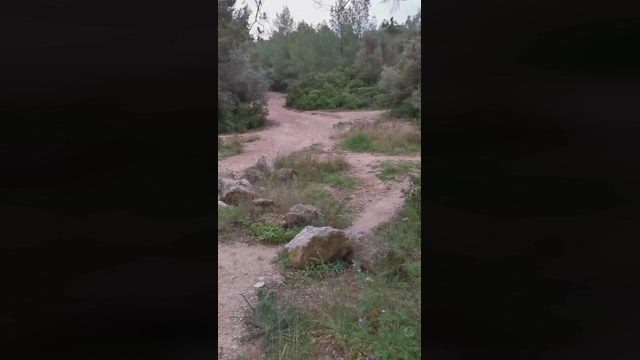 Slavomir78  05-03-2022